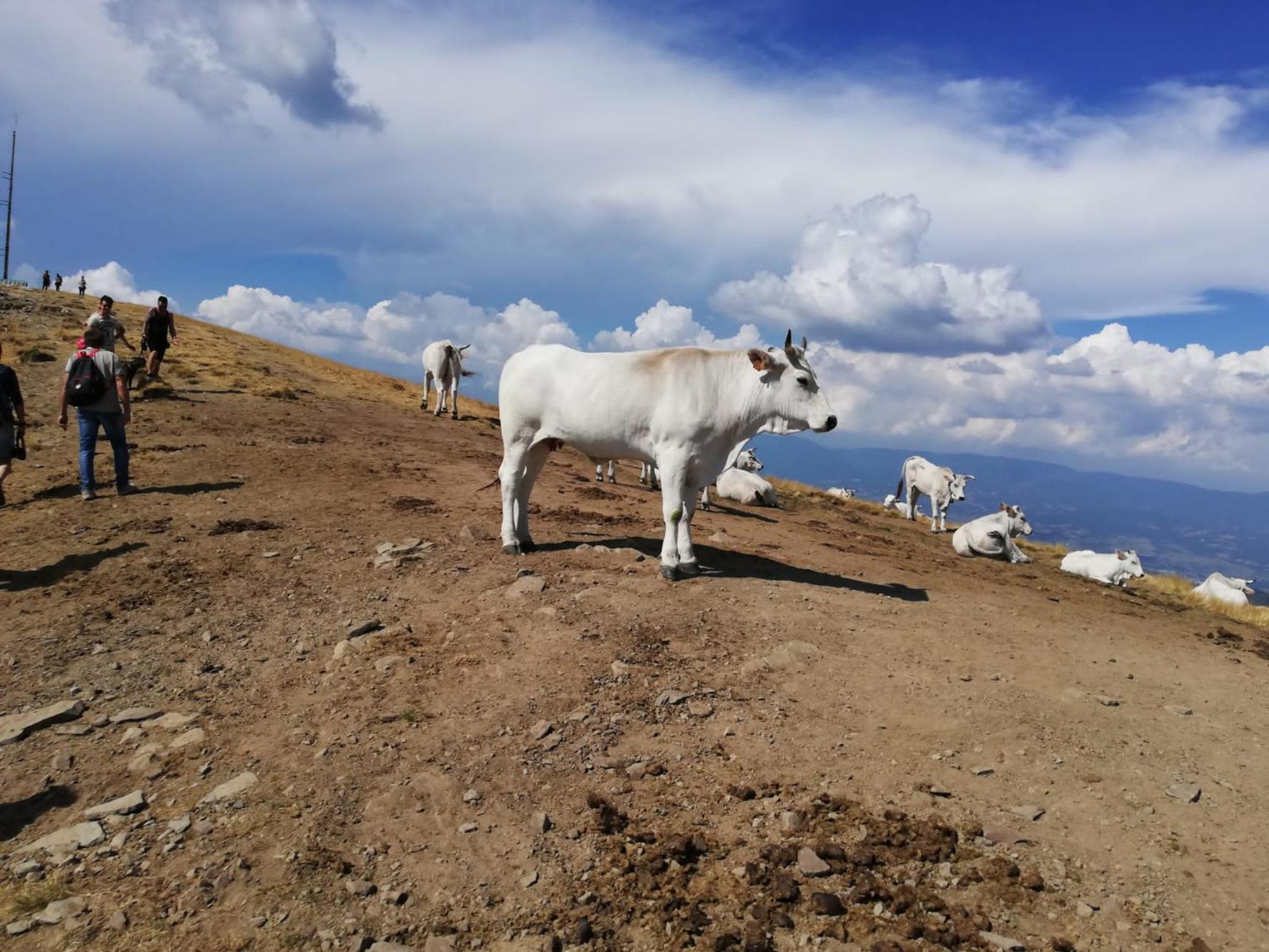 Вілла Il Rifugio Di Vale Cetica Екстер'єр фото