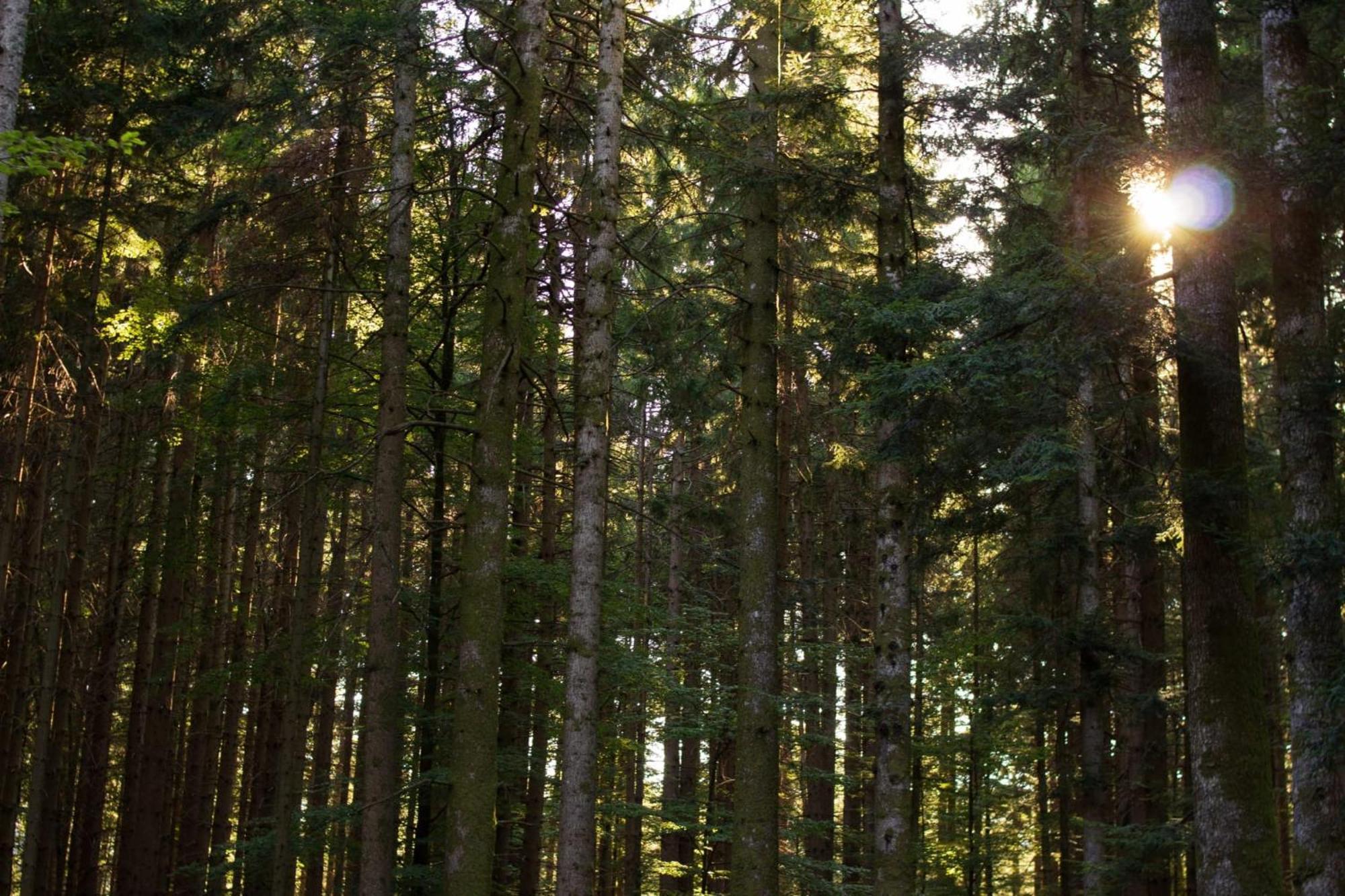 Вілла Il Rifugio Di Vale Cetica Екстер'єр фото